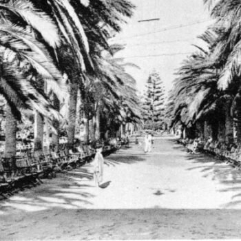Parque Hernández en el pasado siglo 03