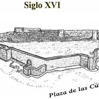 XVI