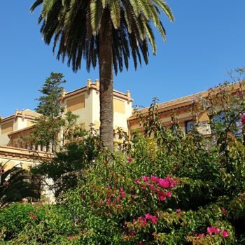 Hospital de la Cruz Roja. Jardines parte trasera